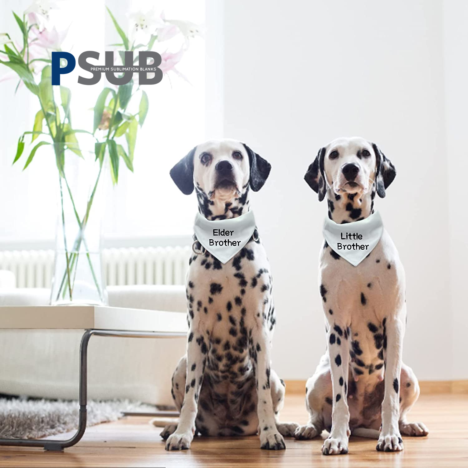 Mascotas | Varios | Sublimables