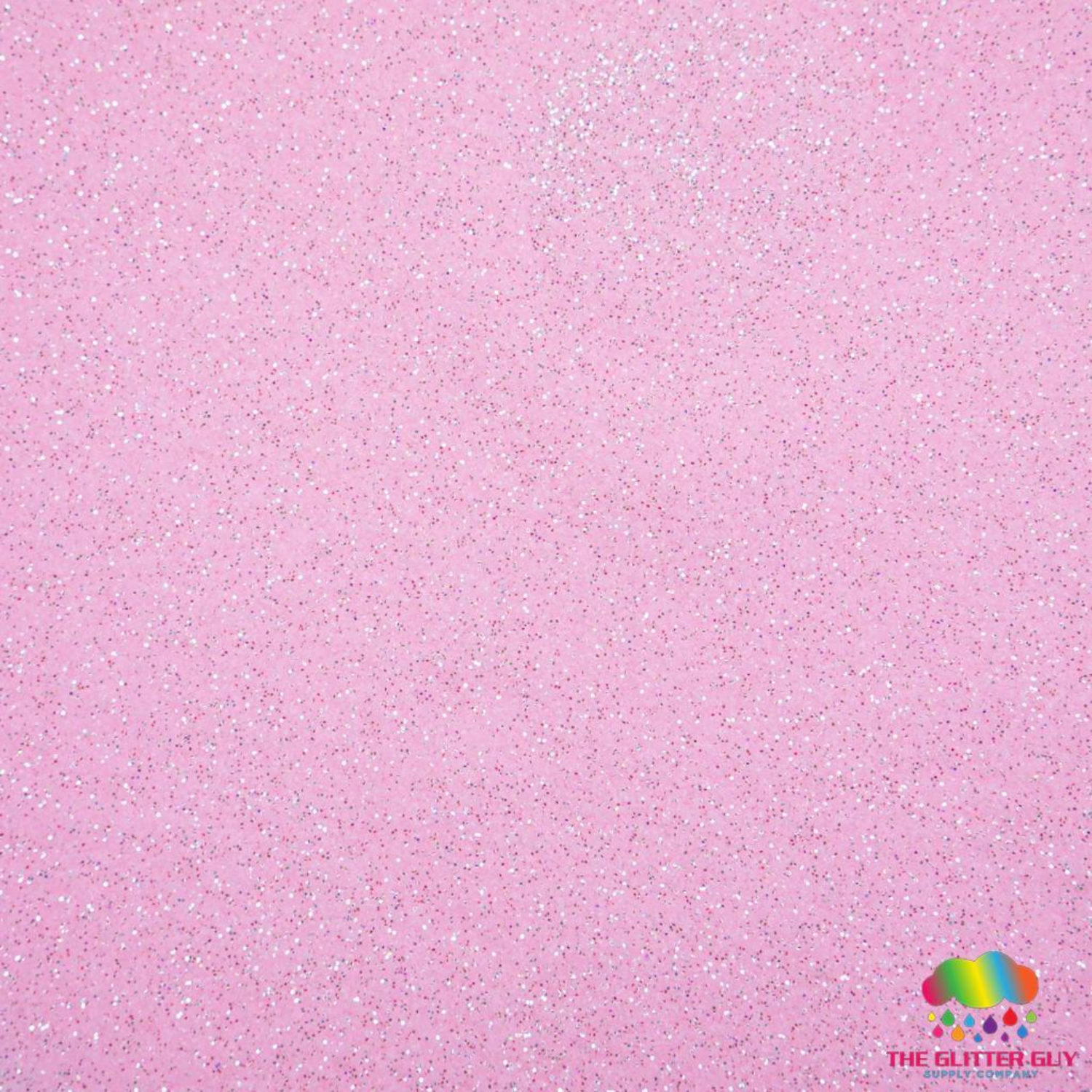 The Glitter Guy | Mochi | Escarcha .010 Fina