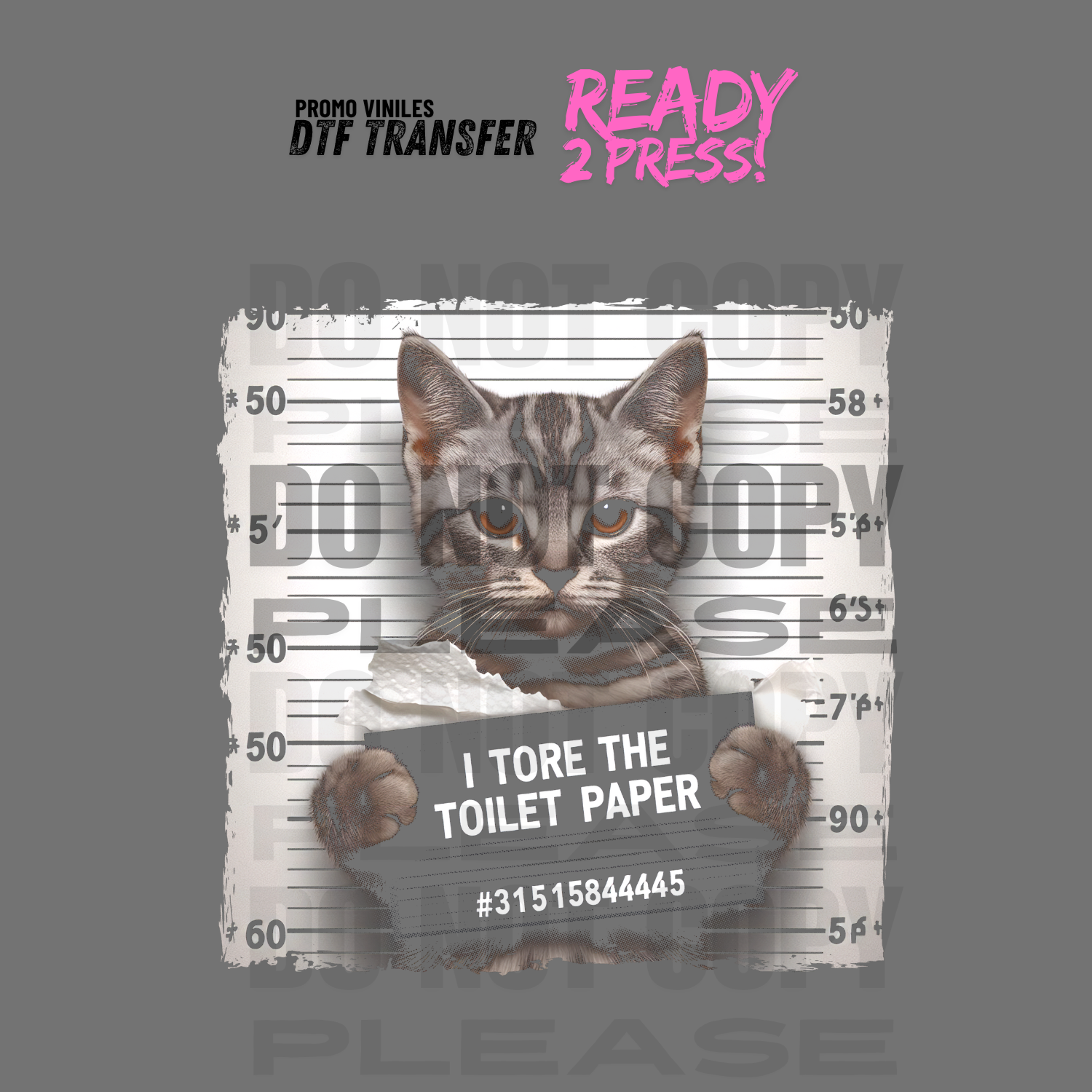 DTF Transfers | Cat in Prison