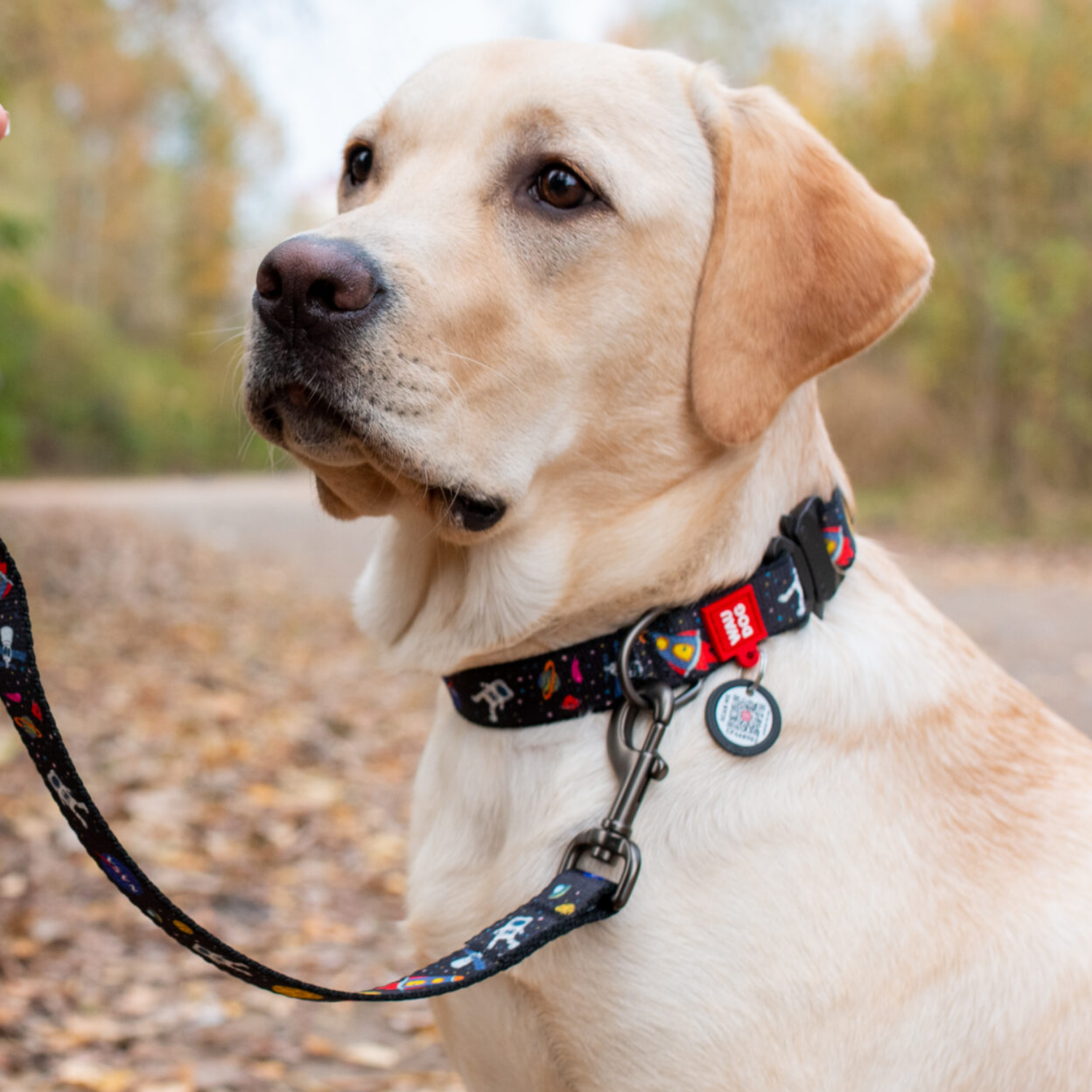 Collar para Mascota | Sublimable | Blanco