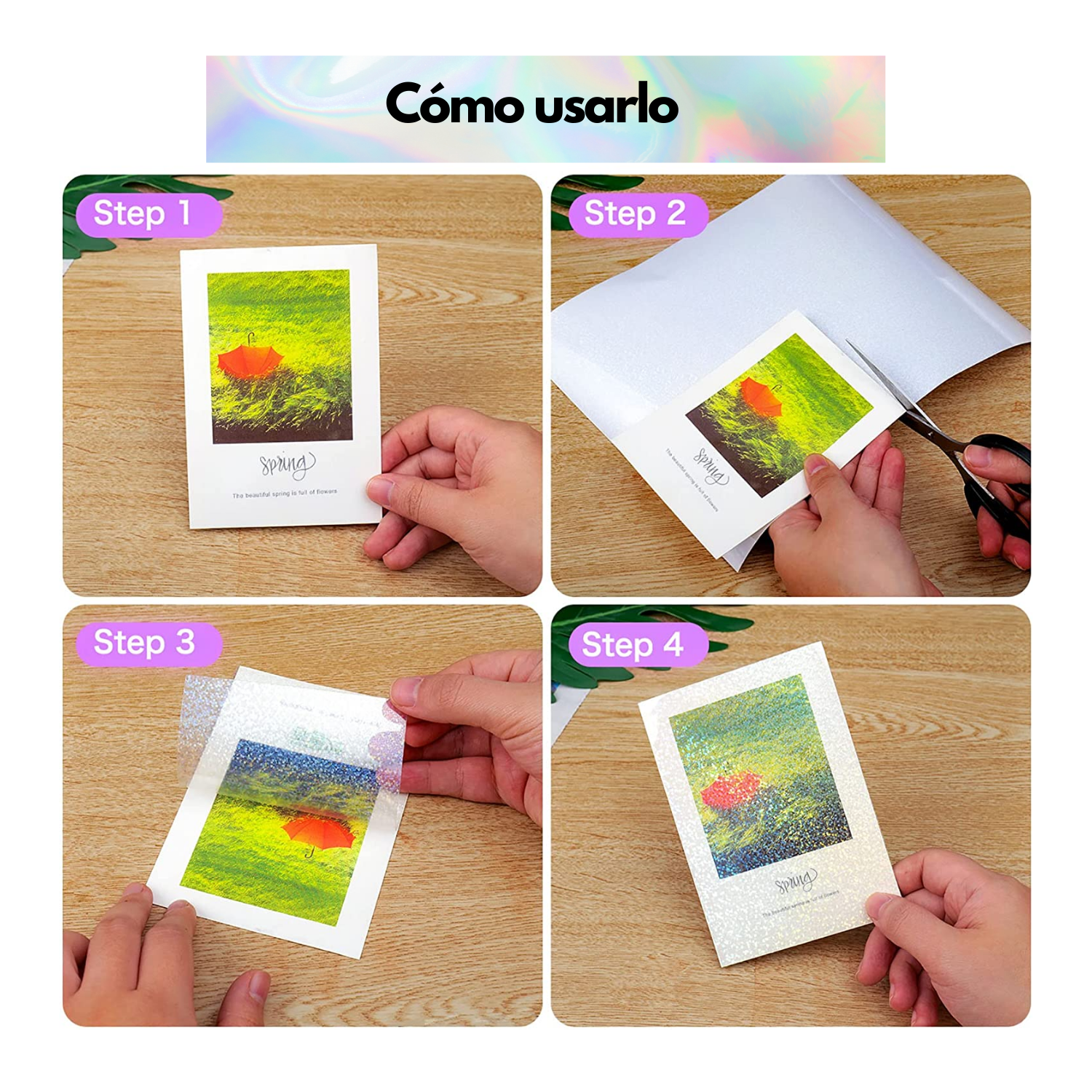 Koala | Laminado Holographic Dot | NO ES PARA IMPRIMIR