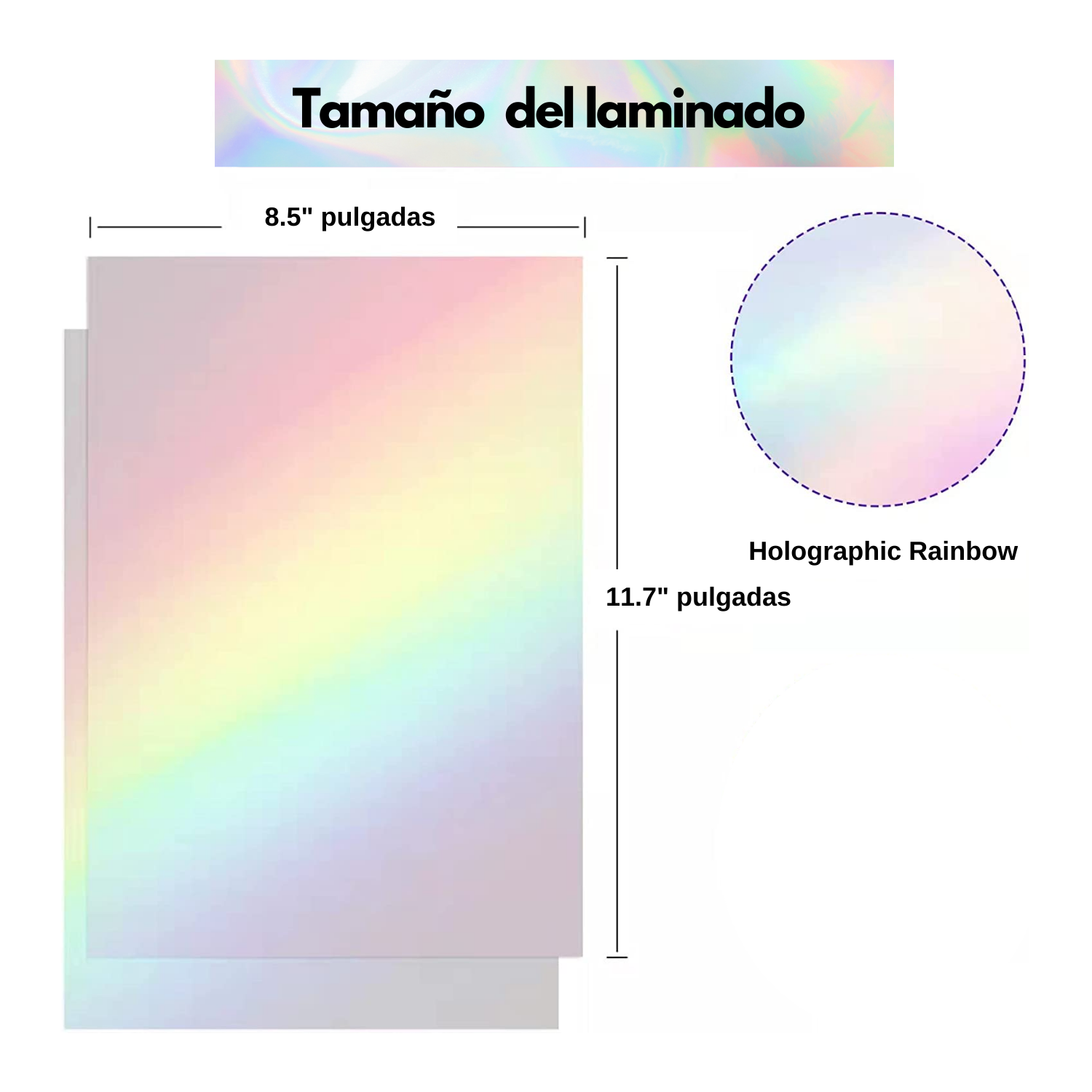 Koala | Laminado Holographic Rainbow | NO ES PARA IMPRIMIR
