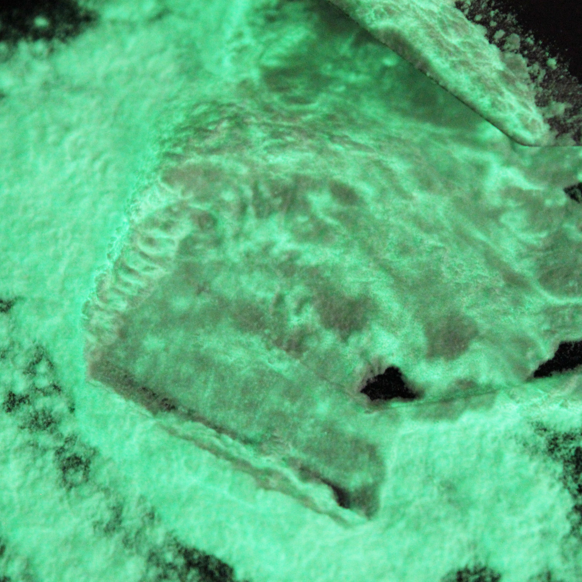 Glow in the Dark Powder | Polvo Brilla en la Oscuridad | 3g