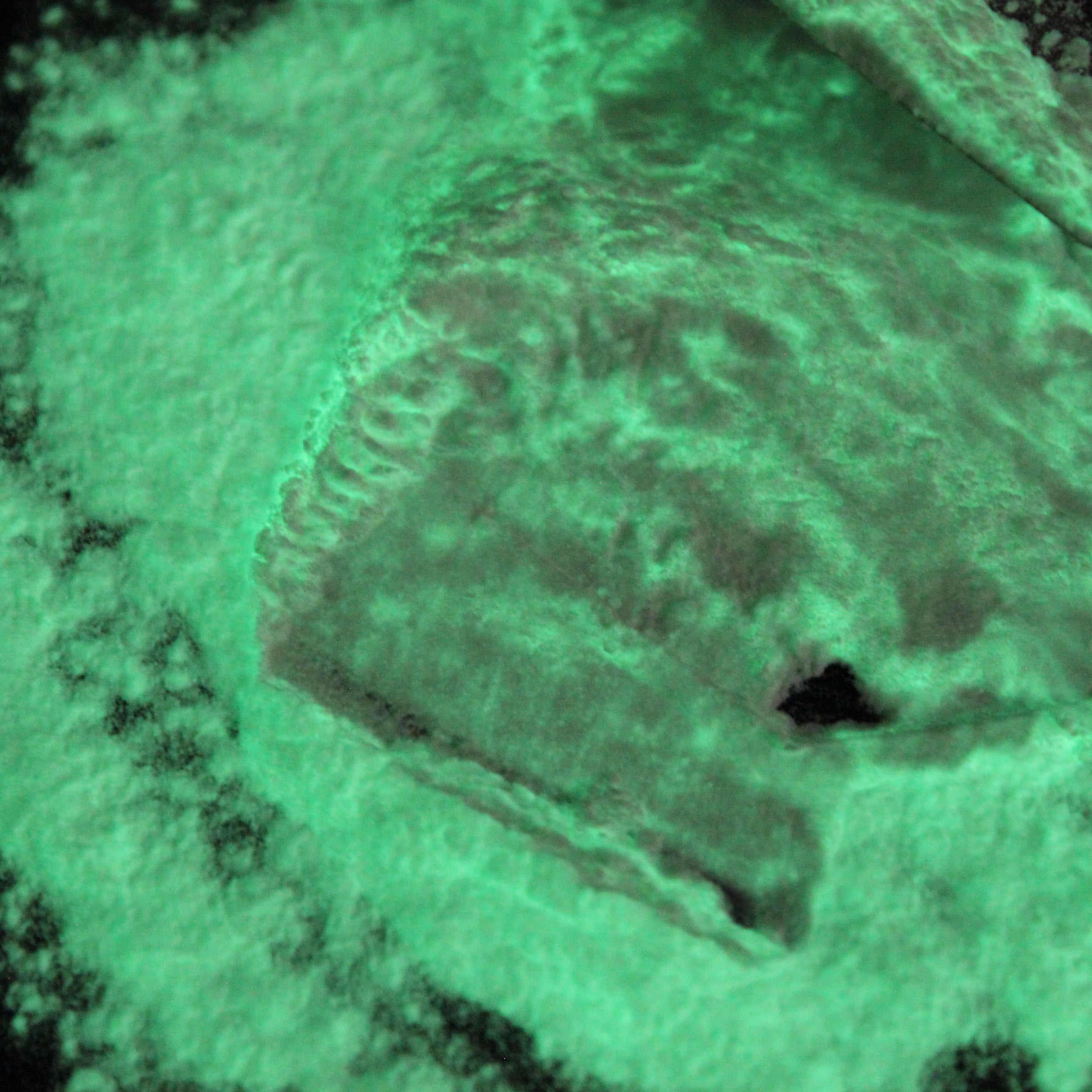 Glow in the Dark Powder | Polvo Brilla en la Oscuridad | 3g