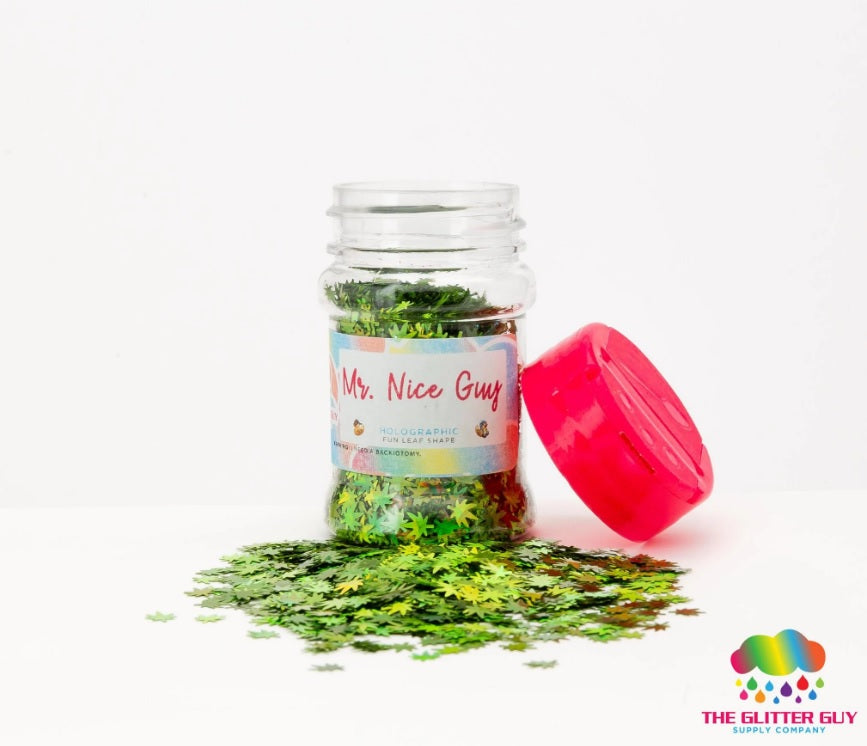 The Glitter Guy | Mr. Nice Guy | Escarcha