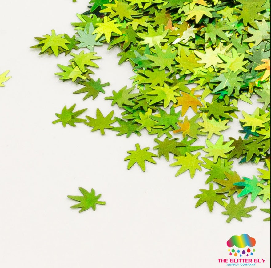 The Glitter Guy | Mr. Nice Guy | Escarcha