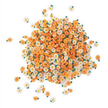 Sprinklets | Spring Daises